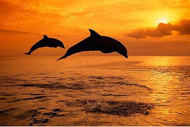 《星球大战：前线2》Steam在线峰值破记录 接近2万人